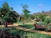 The Oberoi 
